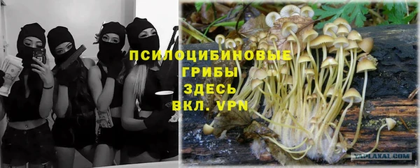 дживик Алексеевка