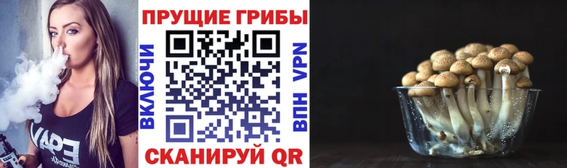 Галлюциногенные грибы мухоморы  Когалым 